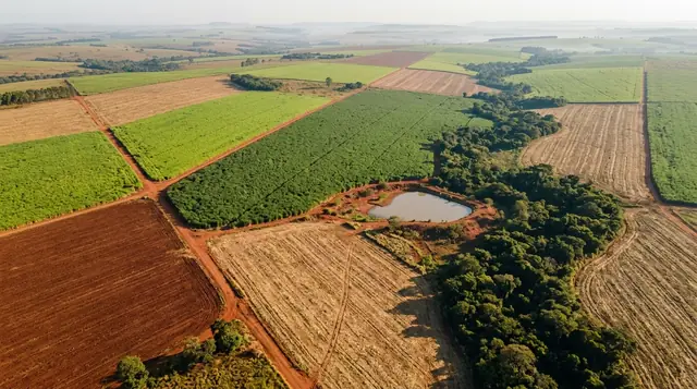 Vista do alto de uma fazenda com áreas de cultivo de várias cores