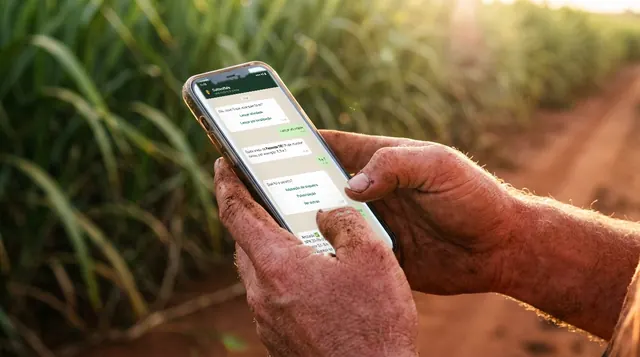 Mãos de trabalhador do campo segurando o celular com a conversa do robô da CultivoMais